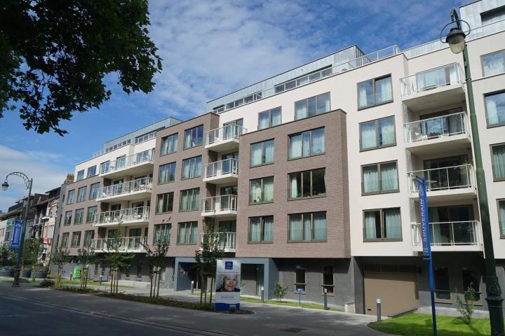 wzc souverain header