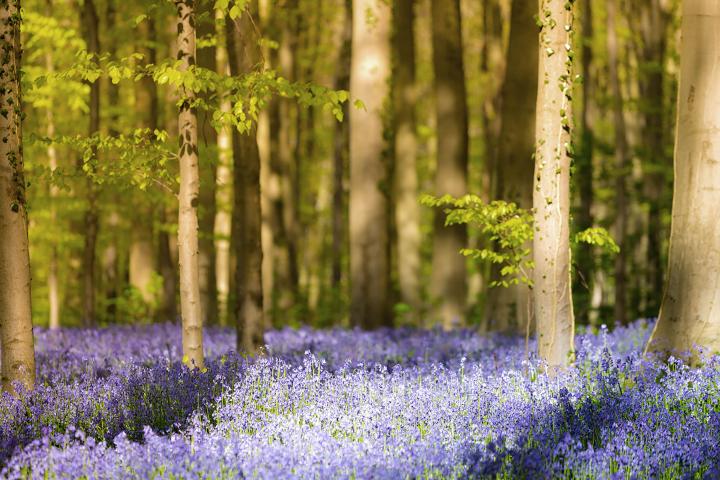 emeis West-Brabant