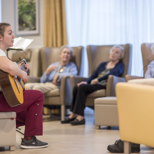 concert met gitaar