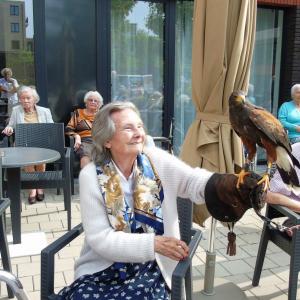 nieuws over generaties heen roofvogel 1