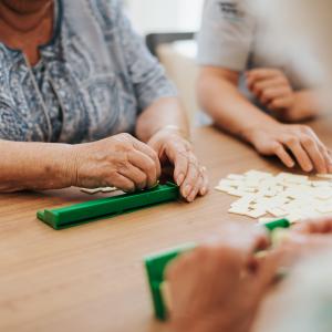 De Bottelarij - gezelschapsspel