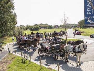 paard en koets